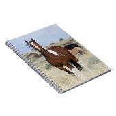Carnet Chevaux sauvages, Montagnes des Steens (Côté Droit)