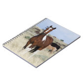 Carnet Chevaux sauvages, Montagnes des Steens (Côté gauche)