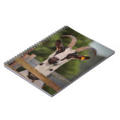 Carnet Chèvre avec cornes debout contre clôture (Côté gauche)