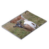 Carnet Chèvre dans un champ (Côté gauche)