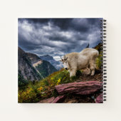 Carnet Chèvre des montagnes Rocheuses (Dos)