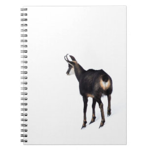 Carnet Chèvre montagneuse minimaliste chamois alpin sur n