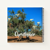 Carnet Chèvres amusantes dans les arbres Maroc Nom person (Dos)