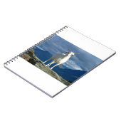 Carnet Chèvres, chèvres et chèvres (93) (Côté gauche)