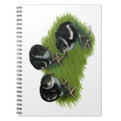 Carnet Chiches noires de faisan (Devant)