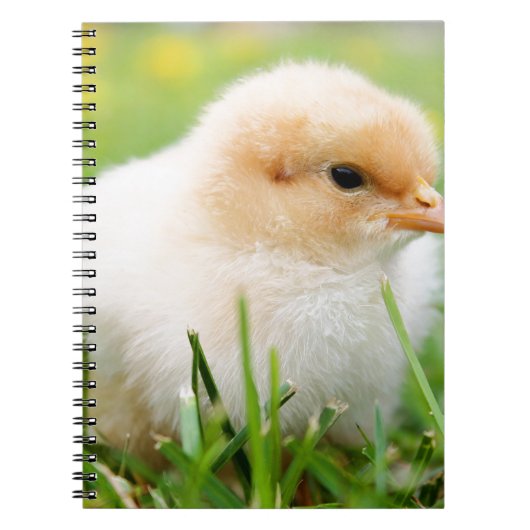 Carnet Chick (Devant)