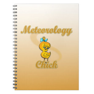 Carnet Chick météorologique