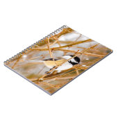 Carnet Chickadee au plafond noir - Photo originale (Côté gauche)