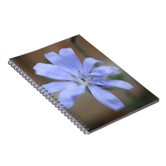 Carnet Chicorée (Côté Droit)