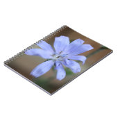 Carnet Chicorée (Côté gauche)