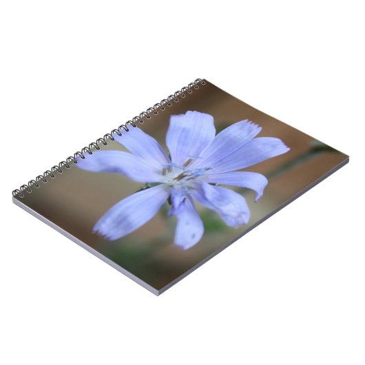 Carnet Chicorée (Côté gauche)