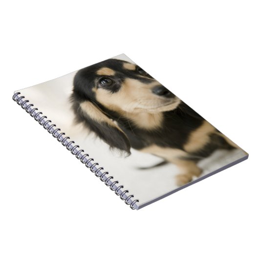 Carnet Chien (Côté Droit)
