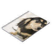 Carnet Chien (Côté gauche)