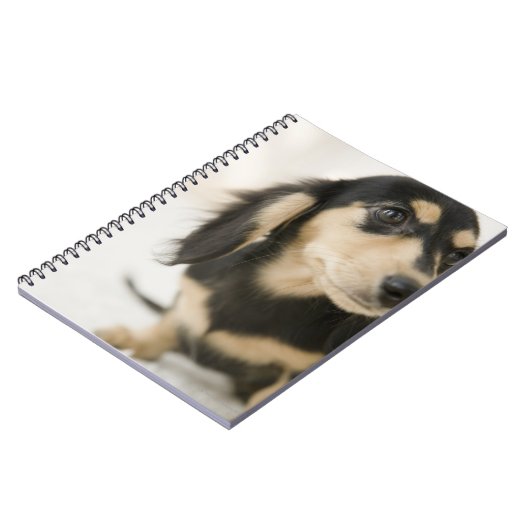 Carnet Chien (Côté gauche)