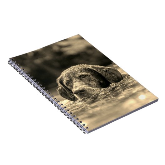 Carnet Chien (Côté Droit)