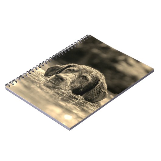 Carnet Chien (Côté gauche)