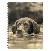 Carnet Chien (Devant)