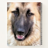 CARNET CHIEN ALLEMAND SHEPHERD (Dos)