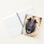 CARNET CHIEN ALLEMAND SHEPHERD (Intérieur)