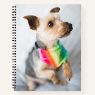 Carnet Chien arc-en-ciel gay pride Yorkshire Terrier