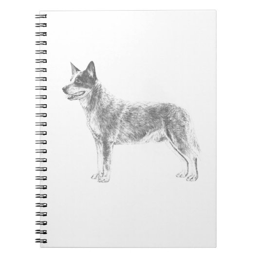 Carnet Chien australien de bétail (Devant)