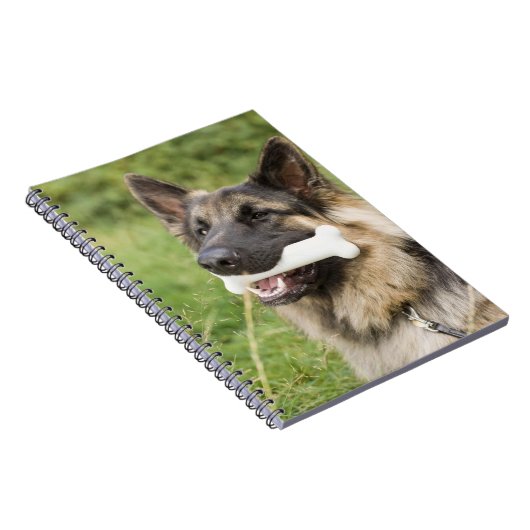 Carnet Chien avec os (Côté Droit)