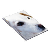 Carnet Chien blanc aux yeux fidèles, Animaux Animaux Chie (Côté Droit)