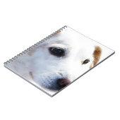 Carnet Chien blanc aux yeux fidèles, Animaux Animaux Chie (Côté gauche)