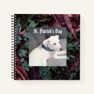 Carnet Chien blanc mignon portant des Shamrocks écailles