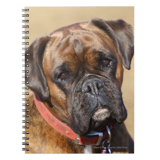 Carnet Chien Brindle de boxeur (Devant)