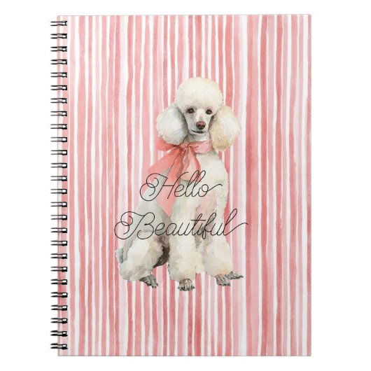 Carnet Chien Caniche Blanc Bonjour Beau (Devant)