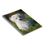 Carnet Chien chiot maltais blanc mou (Côté Droit)