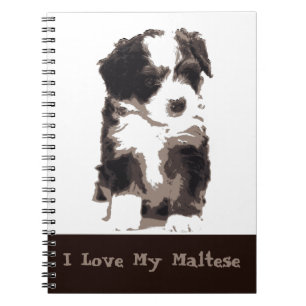 Carnet Chien chiot maltais noir et blanc