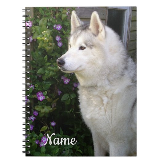 Carnet Chien chiot sibérien Husky (Devant)