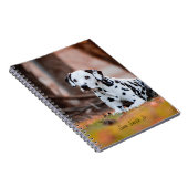 Carnet Chien dalmatien personnalisé (Côté Droit)