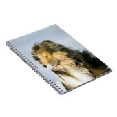 Carnet Chien de berger de Shetland (Côté Droit)