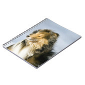 Carnet Chien de berger de Shetland (Côté gauche)