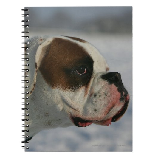 Carnet Chien de boxeur dans la neige (Devant)
