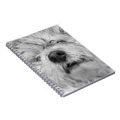 Carnet Chien de Coton de Tulear (Côté Droit)