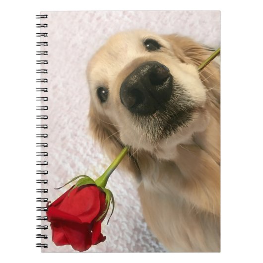 Carnet Chien de golden retriever avec le rose rouge (Devant)