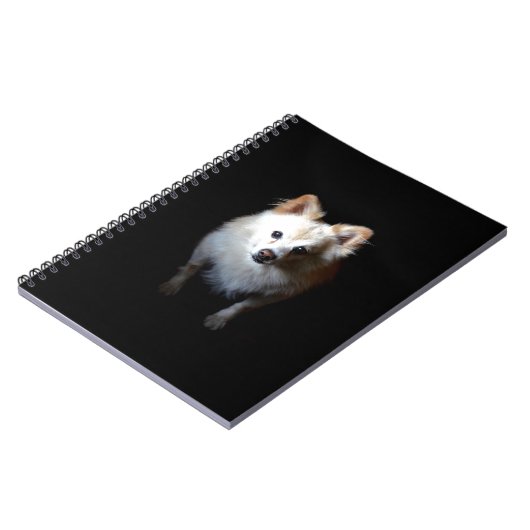 Carnet Chien de Poméranie en noir (Côté gauche)