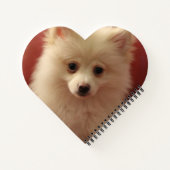 Carnet Chien de Poméranie mignon (Dos)