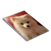 Carnet Chien de Poméranie mignon (Côté Droit)