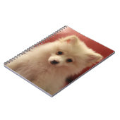 Carnet Chien de Poméranie mignon (Côté gauche)