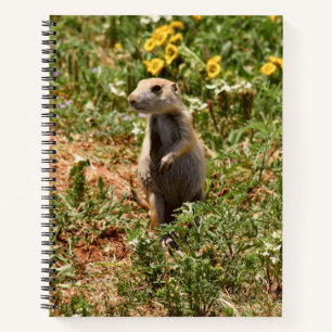 Carnet Chien de prairie adorable