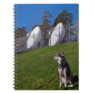Carnet Chien de repérage