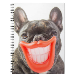 Carnet Chien de sourire des images A de Getty