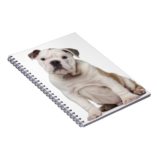 Carnet Chien de taureau anglais (2 mois) (Côté Droit)