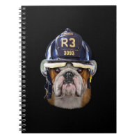Chien de taureau anglais grognon portant un casque