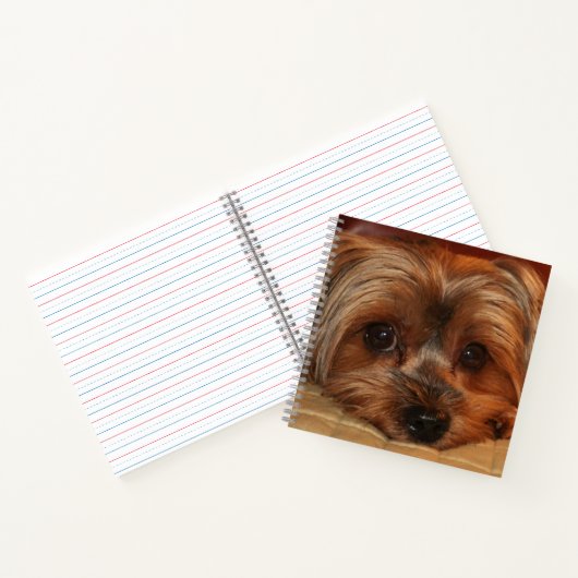 Carnet Chien de Terrier du Yorkshire (Intérieur)